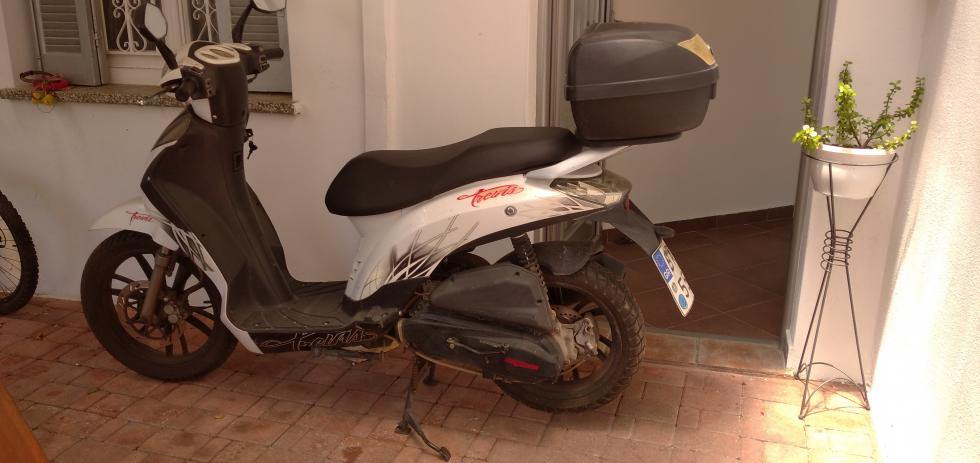 Daytona  MUST 125 14