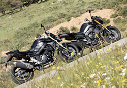      ,     ,     .    Yamaha FZ8    Suzuki GSR 750.      ,           .
