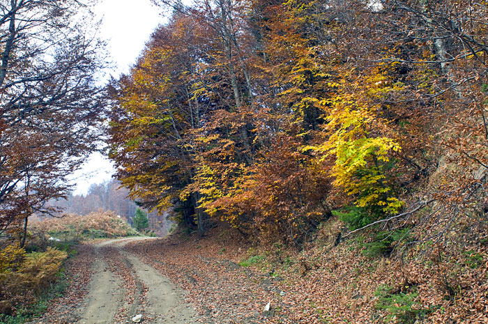 Touring: Κίσσαβος, το μαγικό βουνό