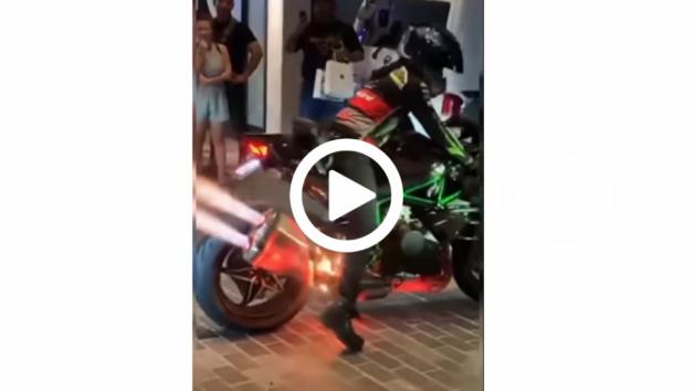 VIDEO: Κανίβαλος κατακρεουργεί Kawasaki Ninja H2